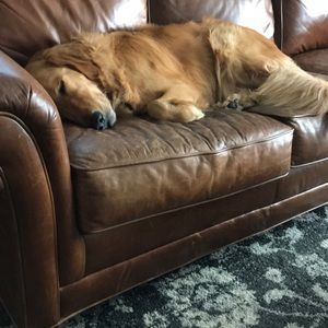 Meet your Posher, Elijah